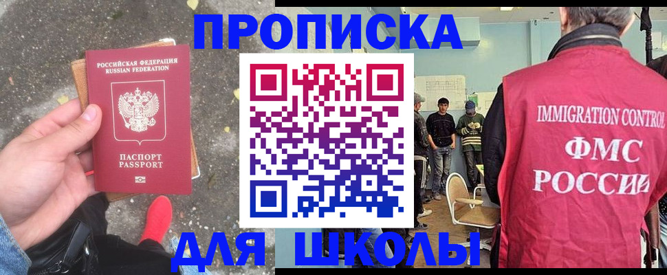 где прописаться в Сольцах