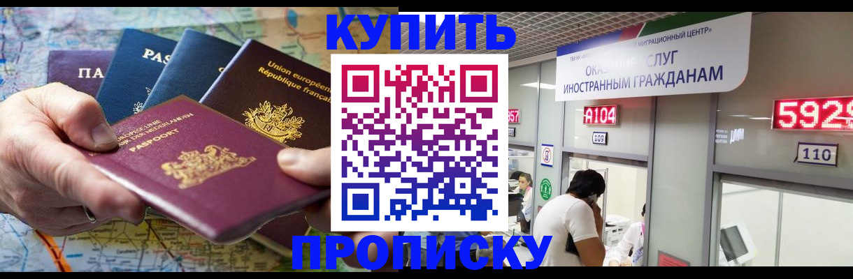 прописка гарантия в Сольцах